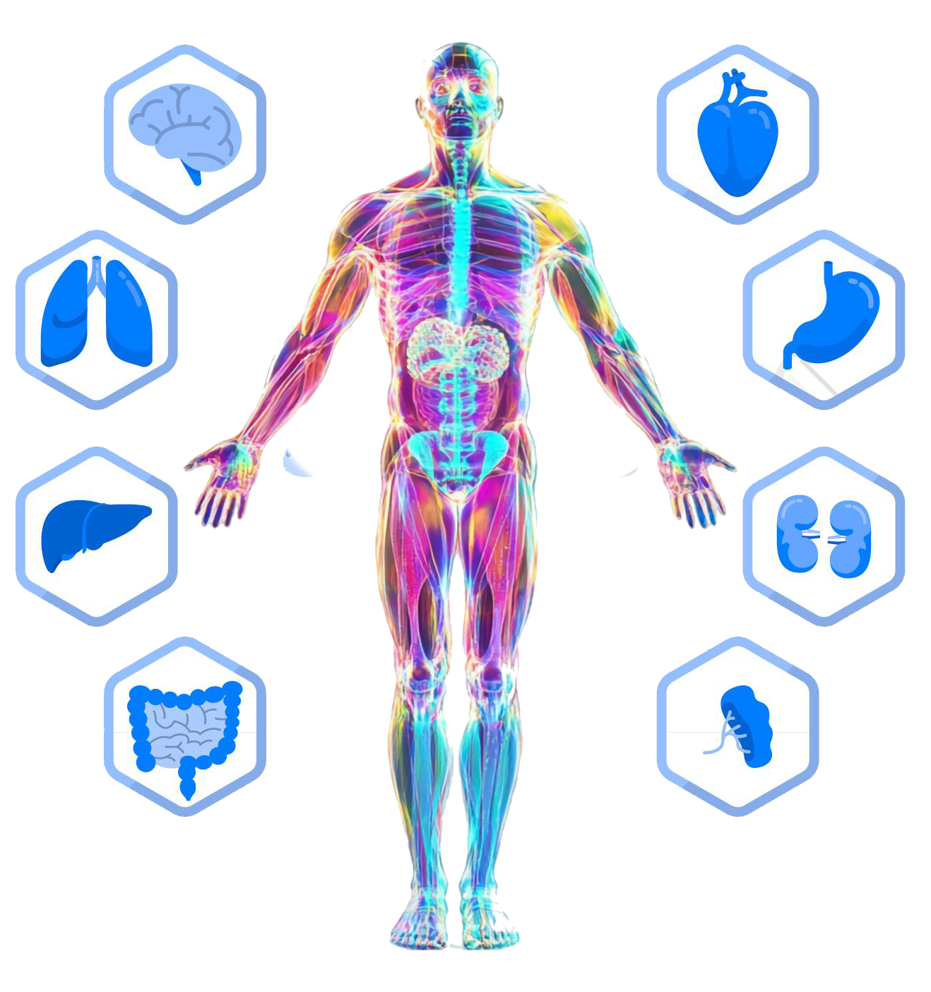 BioTest Pro